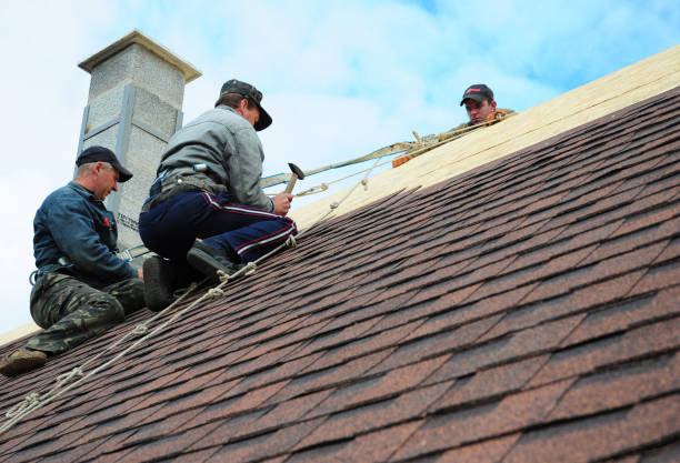 Best Roof Repair Services  in Riley, KS